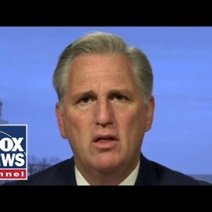 McCarthy unleashes on Dems for prioritizing ‘cats and cannabis, not covid’