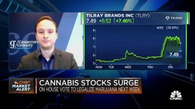 Tailwinds will eventually come for cannabis stocks: Canaccord Genuity’s Bottomley