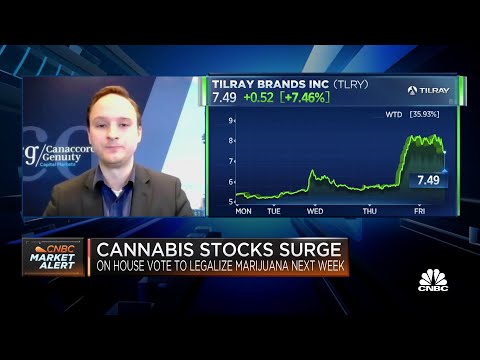 Tailwinds will eventually come for cannabis stocks: Canaccord Genuity’s Bottomley