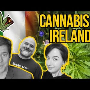 Is Cannabis Legal in Ireland? | Cannabis Legalisation in Ireland