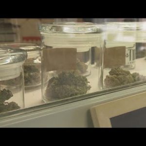 Prices for Maine’s premier cannabis product drop as summer temps rise