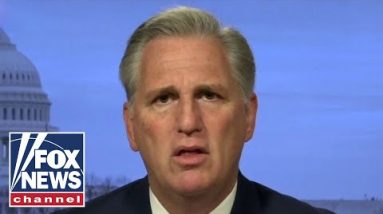 McCarthy unleashes on Dems for prioritizing ‘cats and cannabis, not covid’