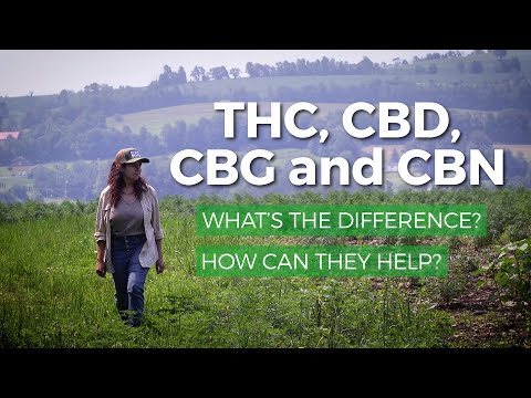 Marijuana THC vs CBD CBG, CBN: What is the difference? Which has the most health benefits?