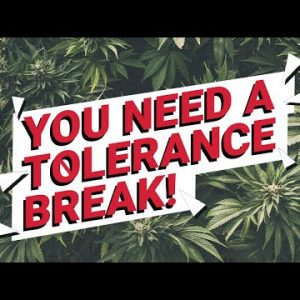 Are You Ready for a Cannabis Tolerance Break?