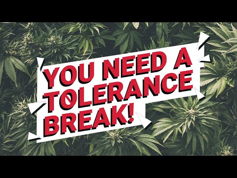 Are You Ready for a Cannabis Tolerance Break?