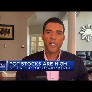 Stocks of pot rise in bet on legalization in U.S.