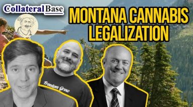 Montana Cannabis Legalization | Montana Cannabis News | Montana Cannabis Laws & Home Grow