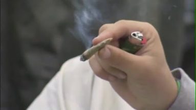 Florida man fired after failing drug test for medical marijuana wants job back