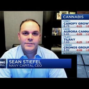 Navy Capital CEO, Sean Stiefel shares his top picks for cannabis stocks: TCNNF, GTBIF
