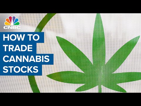 Analyst on which cannabis stocks are most vulnerable to a short squeeze