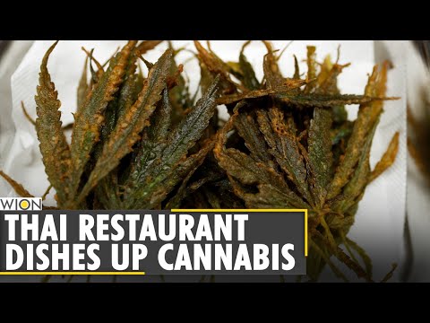 Thailand serves up cannabis cuisine to happy customers | World News | WION News
