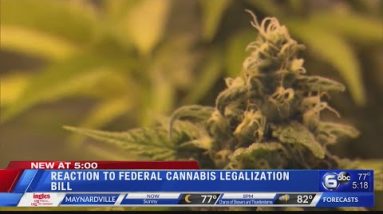 Reaction to the federal cannabis legalization bill