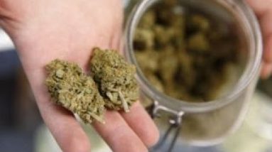 Lawyer argues that marijuana legalization should be expanded