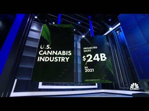 Senate Democrats call for legalization of marijuana nationwide