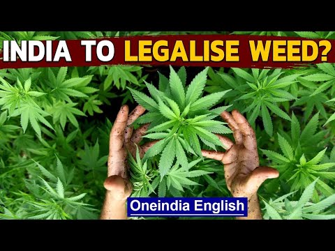 Cannabis reclassified by UN | UN cites weed’s medical benefits | Oneindia News