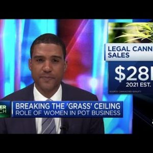 These are some women who are breaking into the cannabis sector