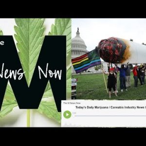 7/25/2022 Today’s Daily Marijuana and Cannabis Industry News