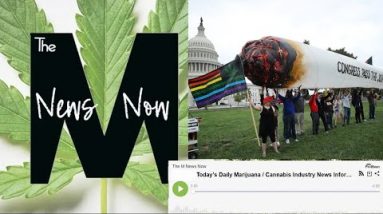 7/25/2022 Today’s Daily Marijuana and Cannabis Industry News