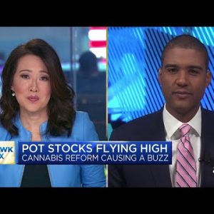 Stocks of cannabis rise as U.S. lawmakers reconsider federal legislation