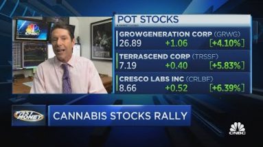 Cannabis stocks rally on new legislation to protect banks in stocks where it’s legal