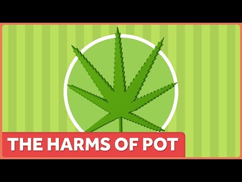The Harms Of Marijuana
