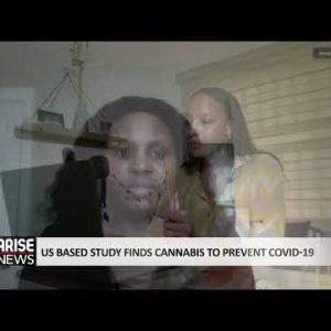 US BASED STUDY FINDS CANNABIS TO PREVENT COVID-19- ARISE NEWS REPORT