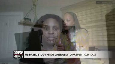 US BASED STUDY FINDS CANNABIS TO PREVENT COVID-19- ARISE NEWS REPORT