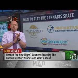 Jim Cramer on the best marijuana plays on a Democratic sweep