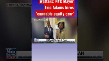 Jesse Watters: Cannabis needs to be equitable for Mayor Eric Adams #shorts