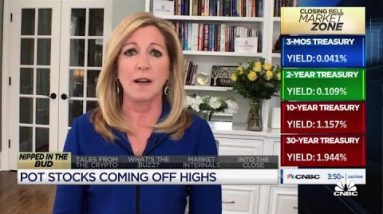 The cannabis stock surge is a “Reddit redo”: Stephanie Link