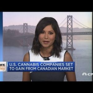 US cannabis companies device to present from Canadian market
