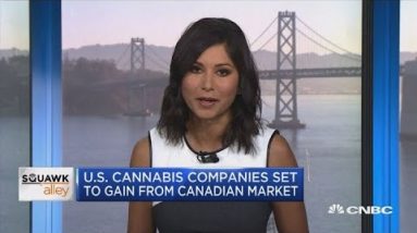 US cannabis companies device to present from Canadian market