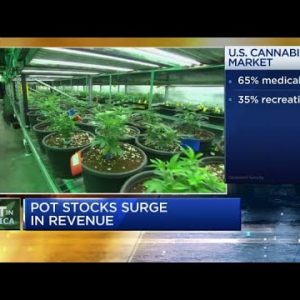 Cannabis is with out doubt some of the quickest rising industry in the U.S.