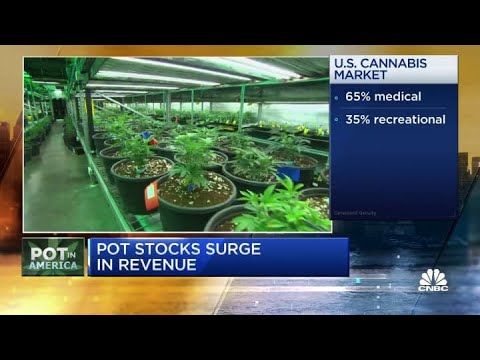 Cannabis is with out doubt some of the quickest rising industry in the U.S.