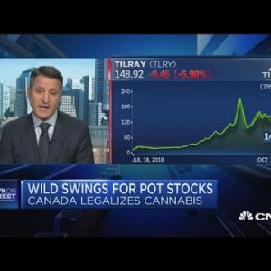 Tilray CEO on Canada legalization, development and the cannabis industry