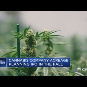Cannabis firm Acreage Holdings plans for Canadian IPO