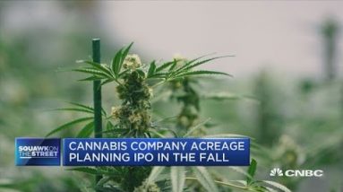 Cannabis firm Acreage Holdings plans for Canadian IPO