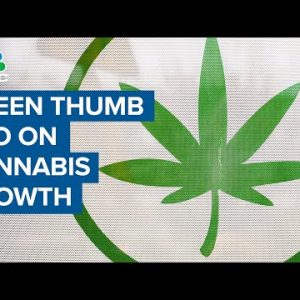 Green Thumb CEO on cannabis command: User are looking ahead to is high