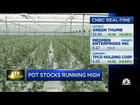 Pot shares running excessive—Here’s the arrangement it be affecting these ETFs