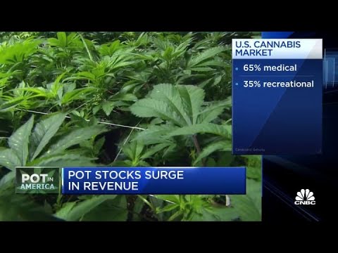 Pot stocks surge as federal legalization looms