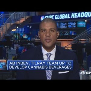 AB Inbev, Tilray crew up to assemble cannabis beverages