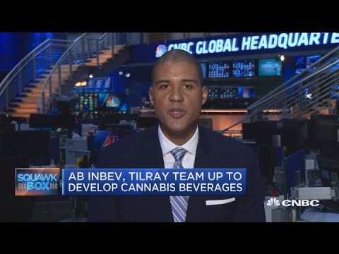 AB Inbev, Tilray crew up to assemble cannabis beverages