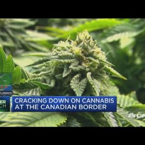 Cannabis customers, traders could maybe face US ban at Canada border