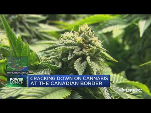 Cannabis customers, traders could maybe face US ban at Canada border