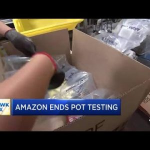 Amazon will now no longer test job seekers for marijuana